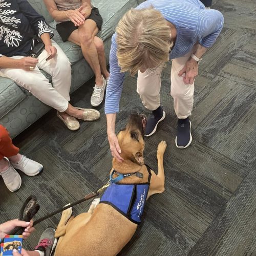 Dolan resident petting a service dog