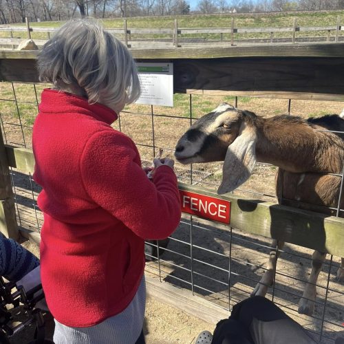 Dolan resident feeding a goat
