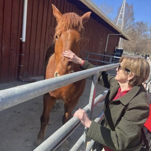 Dolan resident petting a horse